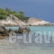 Haus Galini_best deals_Apartment_Macedonia_Halkidiki_Sarti