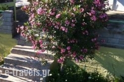 House Lena_s __1