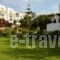 Vidalis Hotel_best prices_in_Hotel_Cyclades Islands_Tinos_Kionia