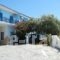 Sofia_accommodation_in_Hotel_Aegean Islands_Samos_MarathoKambos